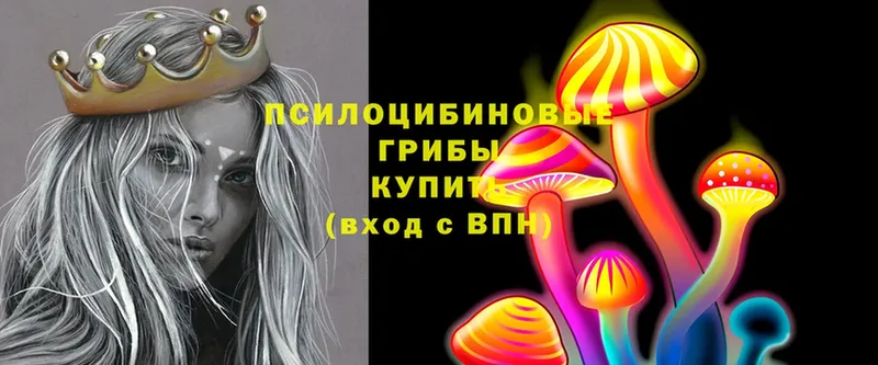 купить закладку  Касли  Псилоцибиновые грибы MAGIC MUSHROOMS 